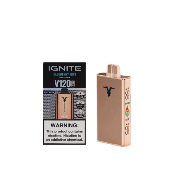 VAPER IGNITE ROSE V120 BLUEBERRY MINT