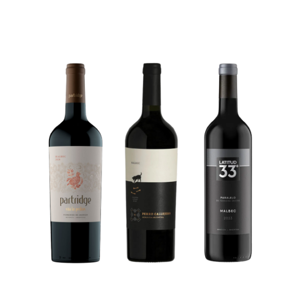 PROMO WEB 8