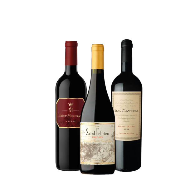 GANGA 6:1 DV CATENA MALBEC - MALBEC - 1 SAINT FELICIEN PINOT NOIR - 1 FABRE MALBEC
